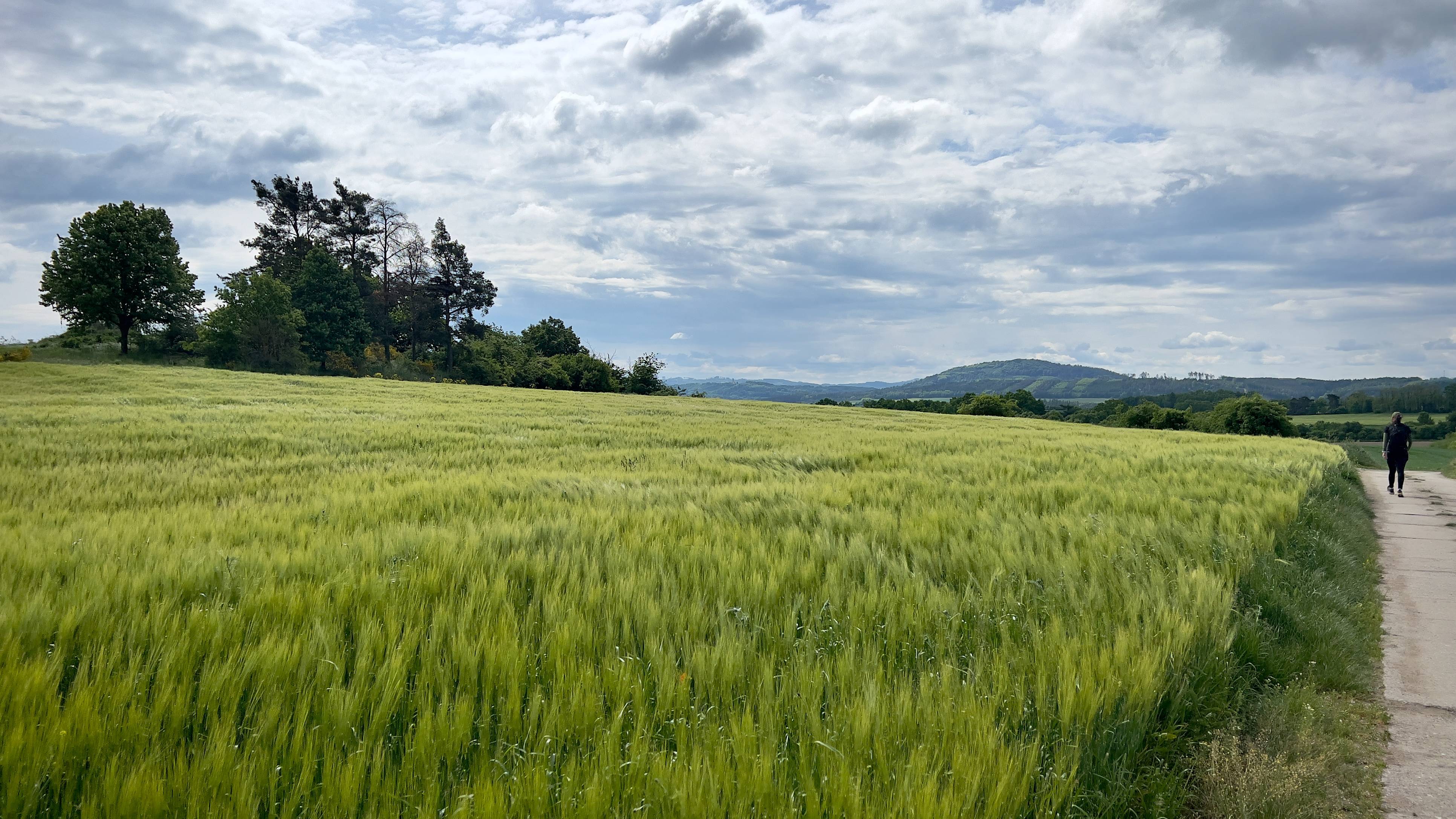 Panorámata kdesi po cestě.